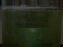 고주파 진폭 초음파 소노케미컬 캐비테이션 프로세서 1200w